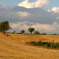 De eindeloze hoogvlakten van Castilla La Mancha
